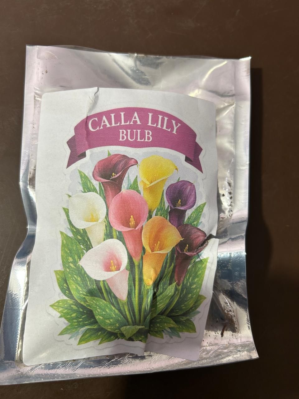 1 Bulb Calla Lily Seeds